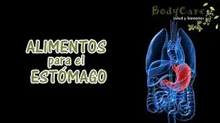 Alimentos para el estómago