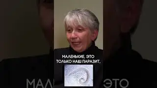 Why does anal itching occur?