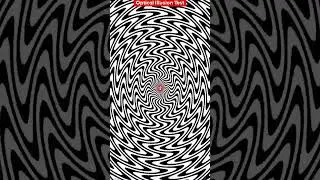 Optical Illusion😇😲
