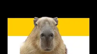 Говновоз , но это любовная опера