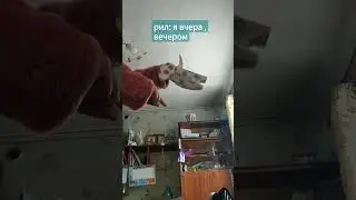 это правда:_{