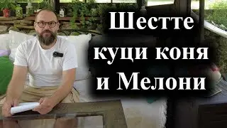 Срещата на Г-7 събира световните лидери, които са на ръба