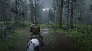 Some rdr2 video