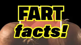 Weird Fart Facts!! 