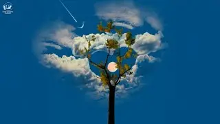 infatuated with your dreams [a dark academia playlist]
