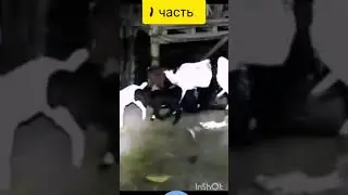 ШАЙТАН.диявол.чорт.