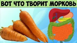 Вот что МОРКОВЬ творит с организмом, если есть его каждый день Невероятная польза для Здоровья