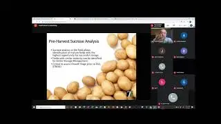 MB Potato Sugar Presentation 2021 Video Presentation