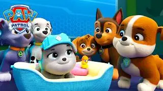 Paw Patrol Ile Uykuya Dalın! (Derleme) | Paw Patrol Türkiye | Çocuklar İçin Çizgi Filmler