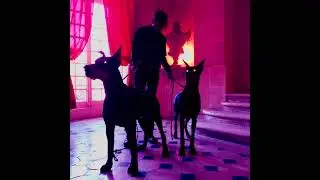 Flipp Dinero x Octavian x Skepta Type Beat 120 bpm