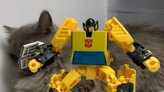 Hot Paint, Cool Attitude – Meet Earthrise Sunstreaker!