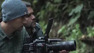 El espectacular documental sobre la riqueza de aves en Colombia