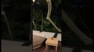 #зубарев #юмор