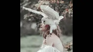 Life of a Valkyrie Warrior playlist