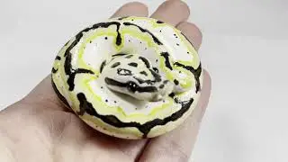 Curled Ball Python Figurine