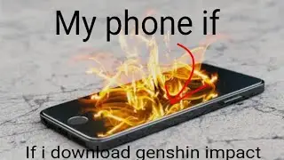 Genshin Impact size