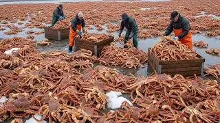 Here's How Developed Countries Raise 2 Million Fish and Shrimp in the High Seas and Generate 100 ...