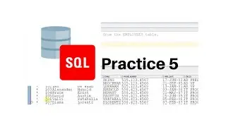 SQL Practice 5 | Scholarly things