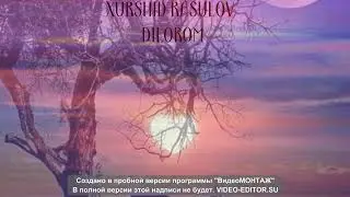 ENG SARA#HIT#QO'SHIQLAR#XURSHID  RASULOV DILOROM#TARONA#SUPER