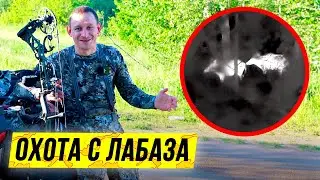 Охота на кабана с лабаза | 🐗 ОХОТА 🐗 2021
