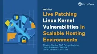 [Webinar Recording] Live Patching Linux Kernel Vulnerabilities in Scalable Hosting Environments