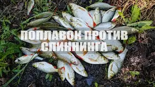 Поплавок или Спиннинг. Наловили краснопёрок и ерша 😀