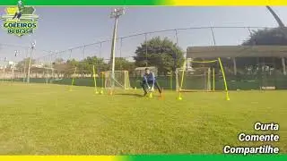 Treinamento de Goleiro