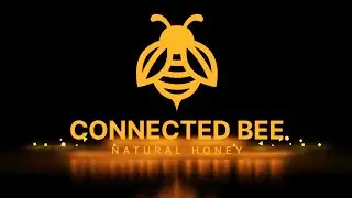 Logo Animation After Effects | Motion Graphics After Effects