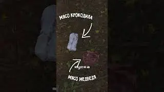 ⚡️ЧТО ПАДАЕТ С НОВЫХ ЖИВОТНЫХ В RUST/РАСТ 
