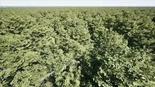 Unreal Engine 5.7 - Nanite Foliage (Experimental) - Voxelize - Using Non-Nanite Trees
