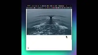 You can add little details like this scale down on scroll effect with scroll-driven 🤙#viral #shorts