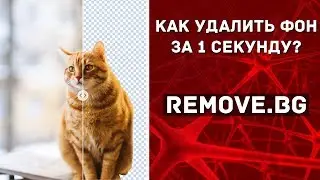 How to remove the background in 1 second? - Neural network Remove.bg