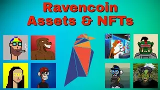 What is a Ravencoin Asset and why is RVN the best Blockchain for NFTs!?