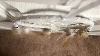 [Default News Video Title]