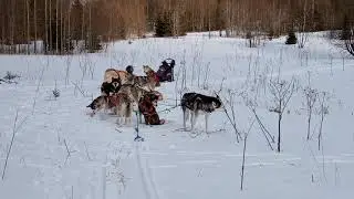 Перекус