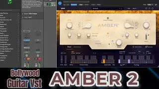 Realistic Acoustic Guitar VST 