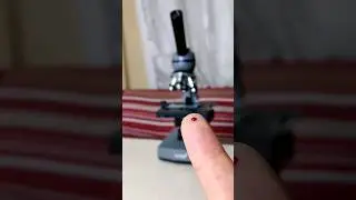 I examine my blood under the microscope 