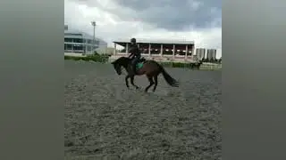 Бросок,не ксш, 4.08.2019