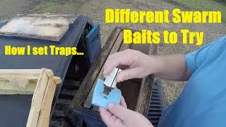 Swarm Traps-Baiting and Setting