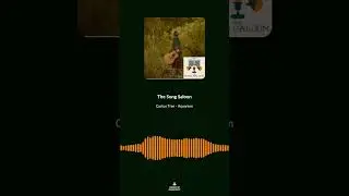Cactus Tree on songwriting #thesongsaloon #musicpodcast
