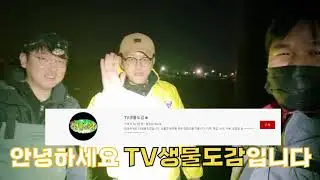 여기가! 혼자 100마리 잡은 그곳!!  TV생물도감님과 힛뜨TV 복어님과 함께했습니다 ^^