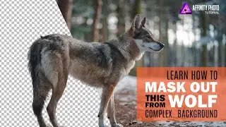 Background Removing | Advance tutorial Using 