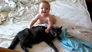 Большой кот
