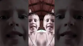 11 августа 2024 г.