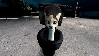 skibidi cat 01