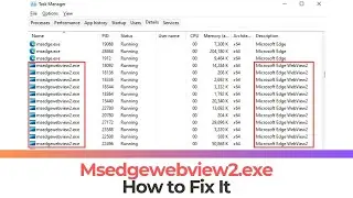 Mseedgewebview2.exe VIrus - What Is It? + Removal Guide [Fake Process]