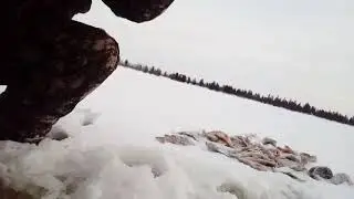СУМАШЕДШАЯ РЫБАЛКА!