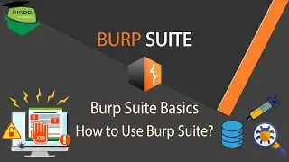 Burp Suite Basics | How to Use Burp Suite | Burp Suite Overview