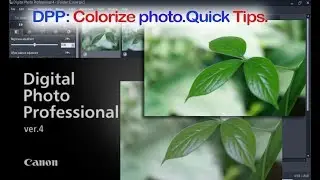 Digital Photo Professional (DPP) 4: Colorize Images