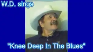 "Knee Deep In The Blues", cover by W.D.